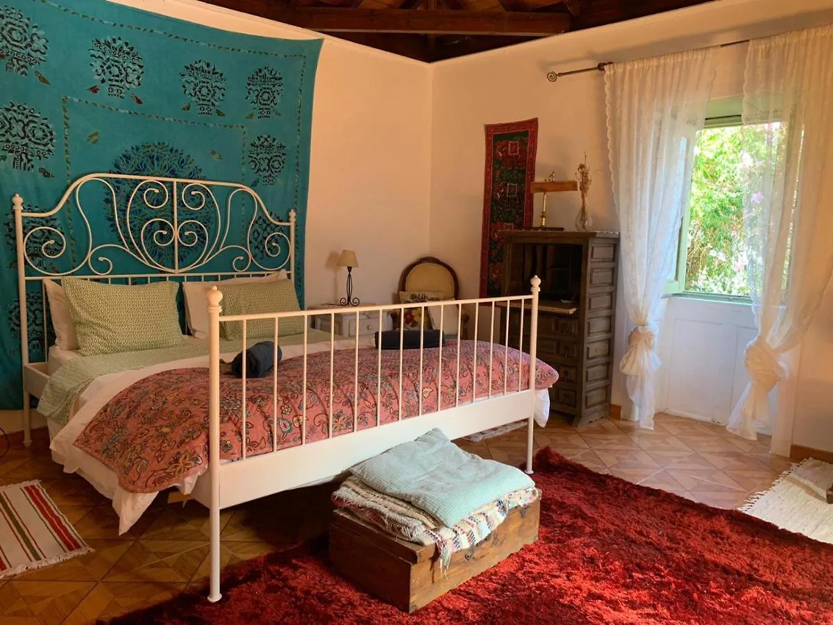 Ecoartejeda Casita Original Villa Holiday home